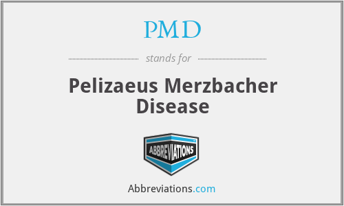 PMD - Pelizaeus Merzbacher Disease
