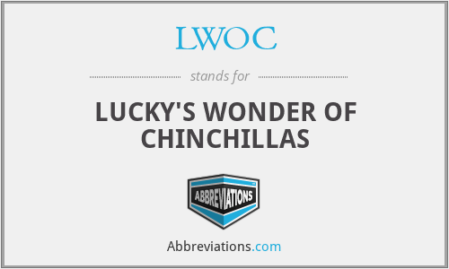 LWOC - LUCKY'S WONDER OF CHINCHILLAS