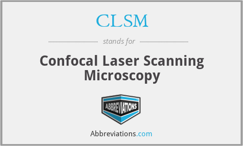 CLSM - Confocal Laser Scanning Microscopy