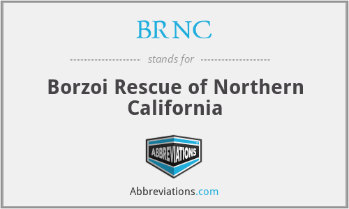 BRNC - Borzoi Rescue of Northern California