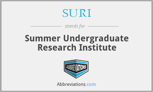 SURI - Summer Undergraduate Research Institute