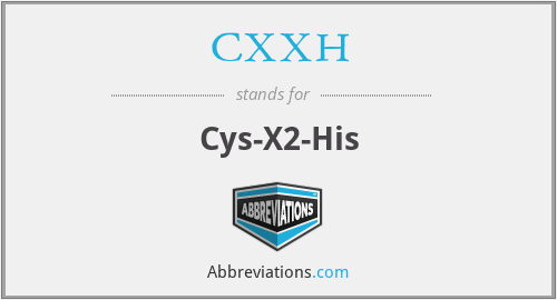 CXXH - Cys-X2-His