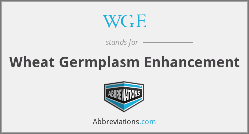 WGE - Wheat Germplasm Enhancement