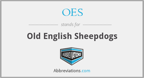OES - Old English Sheepdogs