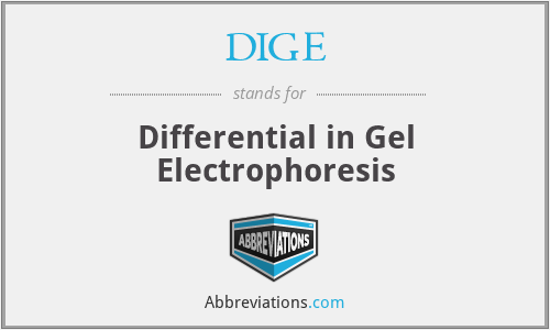 DIGE - Differential in Gel Electrophoresis