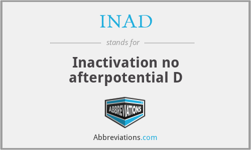 INAD - Inactivation no afterpotential D