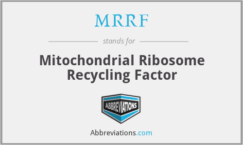 MRRF - Mitochondrial Ribosome Recycling Factor