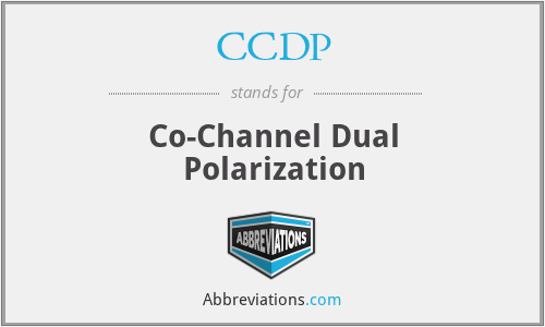 CCDP - Co-Channel Dual Polarization