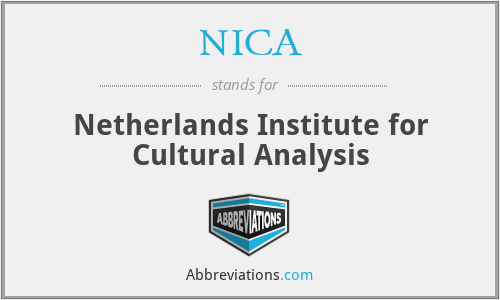 NICA - Netherlands Institute for Cultural Analysis