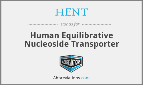 HENT - Human Equilibrative Nucleoside Transporter