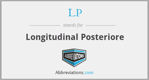 LP - Longitudinal Posteriore