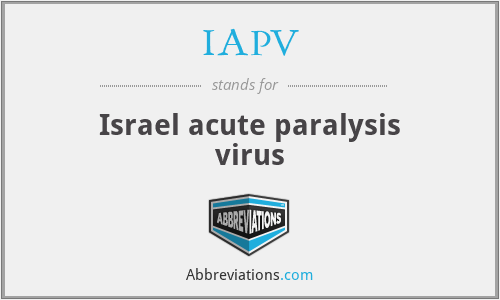 IAPV - Israel acute paralysis virus