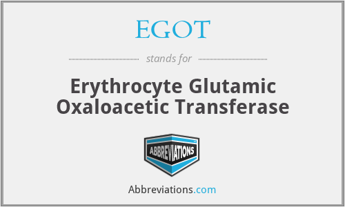 EGOT - Erythrocyte Glutamic Oxaloacetic Transferase
