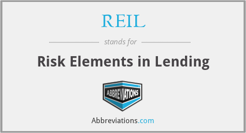 REIL - Risk Elements in Lending
