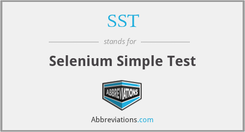 SST - Selenium Simple Test