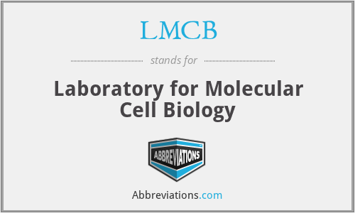 LMCB - Laboratory for Molecular Cell Biology