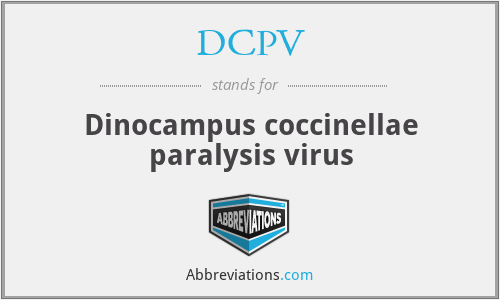 DCPV - Dinocampus coccinellae paralysis virus