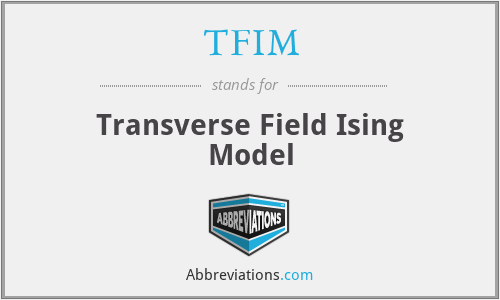 TFIM - Transverse Field Ising Model