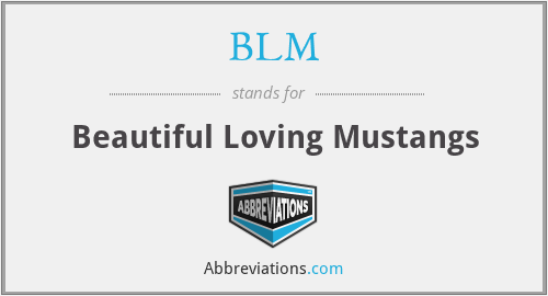 BLM - Beautiful Loving Mustangs