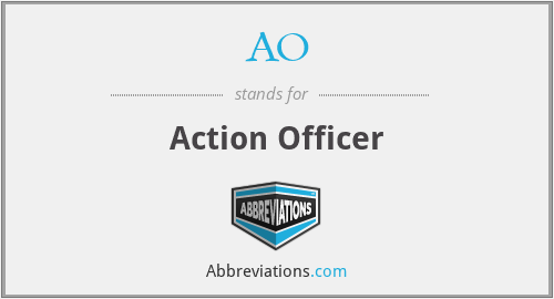 AO - Action Officer