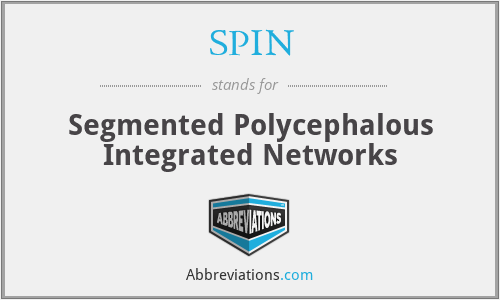 SPIN - Segmented Polycephalous Integrated Networks
