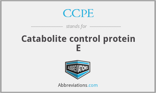 CCPE - Catabolite control protein E