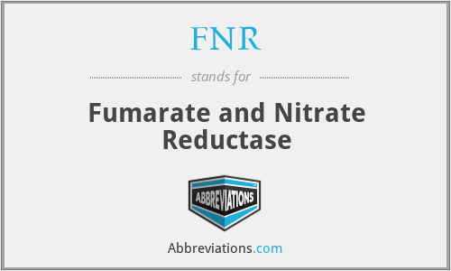 FNR - Fumarate and Nitrate Reductase