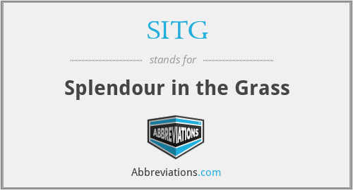 SITG - Splendour in the Grass