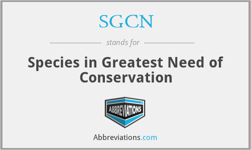 SGCN - Species in Greatest Need of Conservation