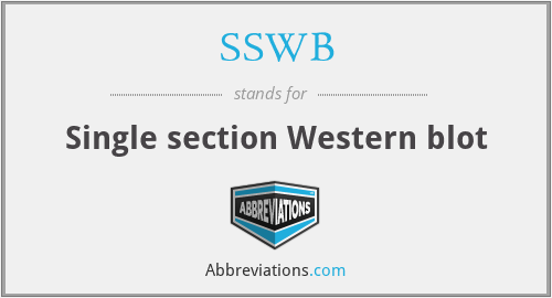 SSWB - Single section Western blot