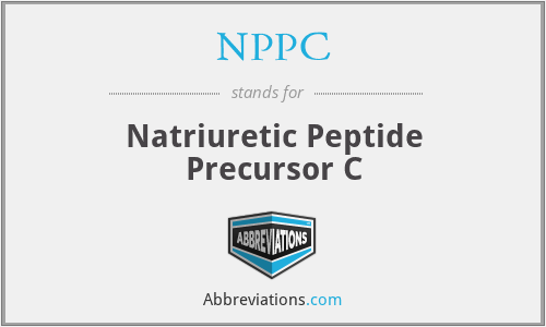 NPPC - Natriuretic Peptide Precursor C