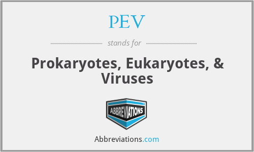 PEV - Prokaryotes, Eukaryotes, & Viruses