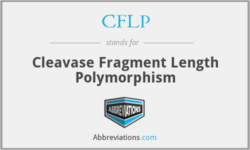 CFLP - Cleavase Fragment Length Polymorphism