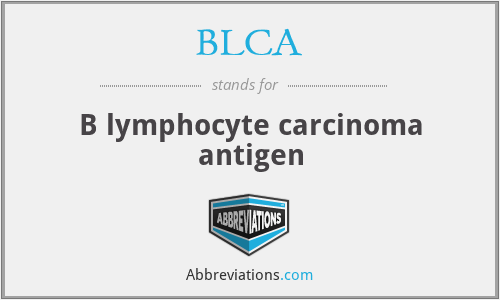 BLCA - B lymphocyte carcinoma antigen