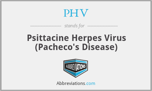 PHV - Psittacine Herpes Virus (Pacheco's Disease)