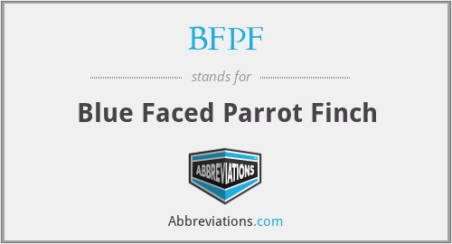BFPF - Blue Faced Parrot Finch