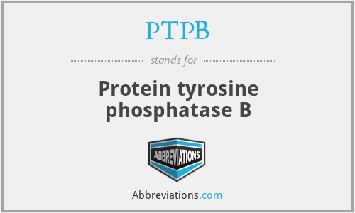 PTPB - Protein tyrosine phosphatase B