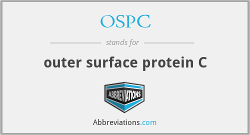 OSPC - outer surface protein C