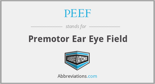 PEEF - Premotor Ear Eye Field