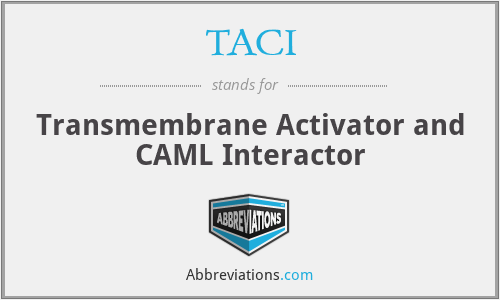 TACI - Transmembrane Activator and CAML Interactor