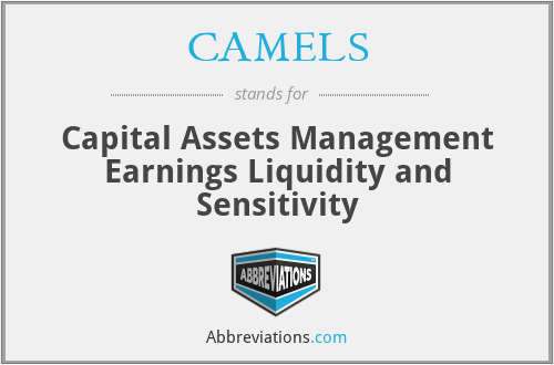CAMELS - Capital Assets Management Earnings Liquidity and Sensitivity