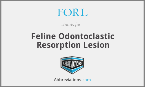 FORL - Feline Odontoclastic Resorption Lesion