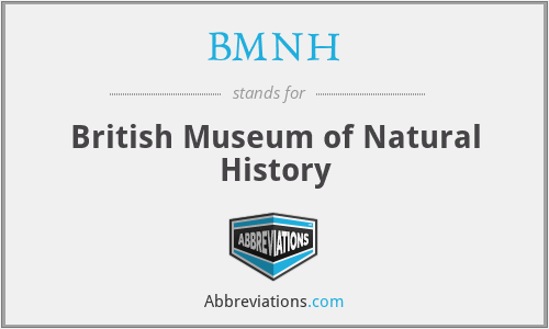 BMNH - British Museum of Natural History