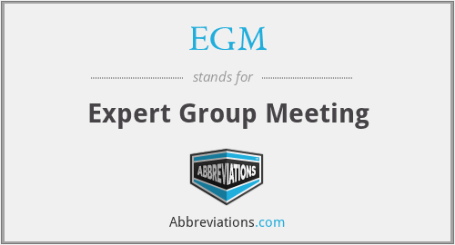 EGM - Expert Group Meeting