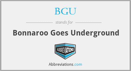 BGU - Bonnaroo Goes Underground