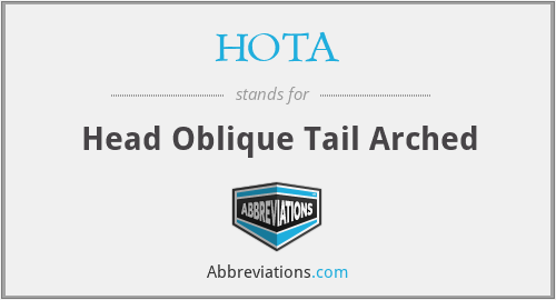 HOTA - Head Oblique Tail Arched
