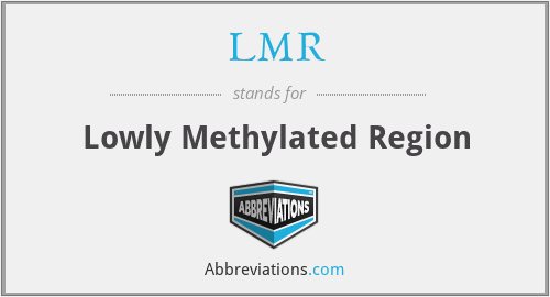 LMR - Lowly Methylated Region