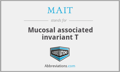 MAIT - Mucosal associated invariant T