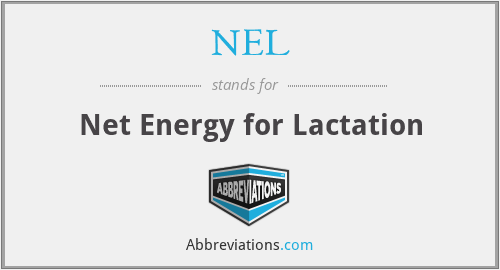 NEL - Net Energy for Lactation