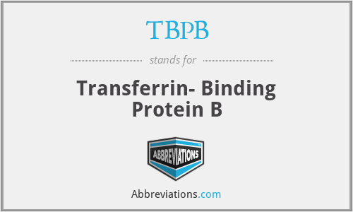 TBPB - Transferrin- Binding Protein B